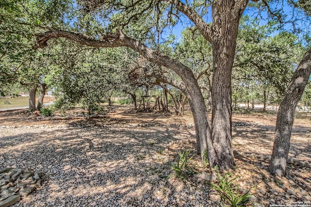 1463 Birch Ln, Fischer, TX 78623 - view of local wilderness