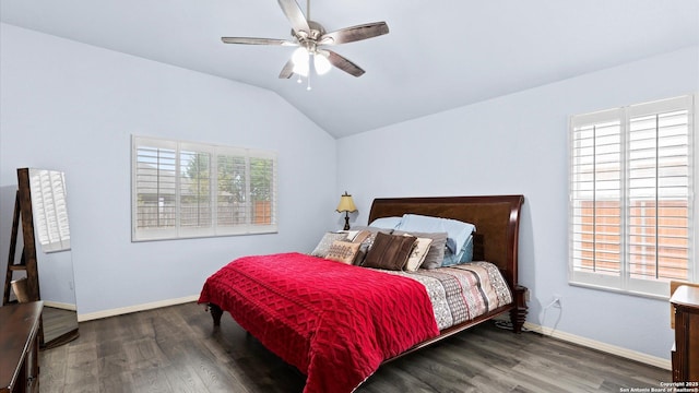 1238 Sugar Land, New Braunfels, TX 78130 - bedroom featuring lofted ceiling, wood finished floors, and a ceiling fan