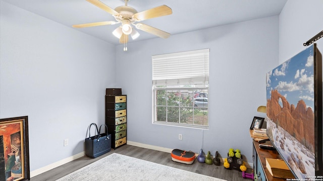 1238 Sugar Land, New Braunfels, TX 78130 - recreation room featuring wood finished floors and ceiling fan