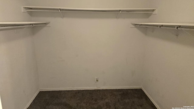 8310 Border Rdg, San Antonio, TX 78240 - spacious closet featuring dark colored carpet