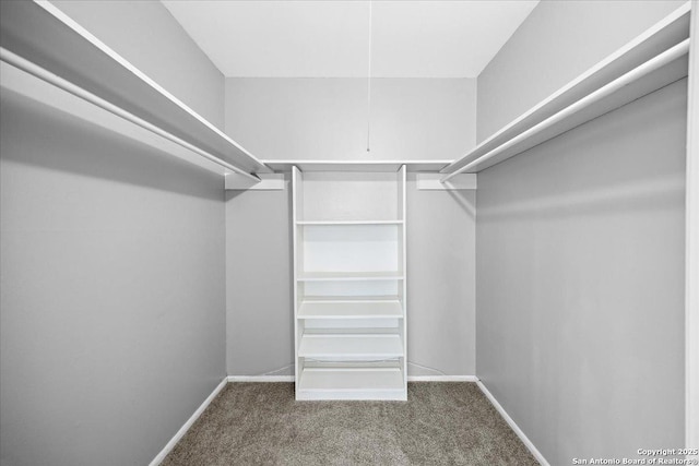 910 Mount Kisco, San Antonio, TX 78213 - walk in closet featuring carpet flooring
