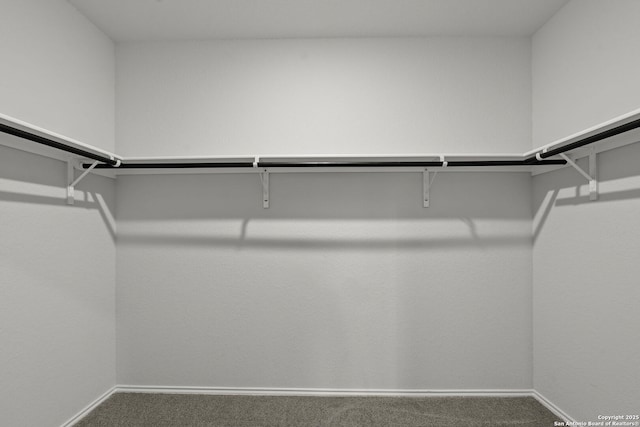 14034 Breccia, San Antonio, TX 78253 - spacious closet featuring carpet flooring