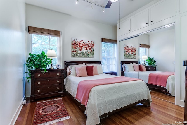 158 Laurel Hts, San Antonio, TX 78212 - bedroom with wood finished floors, multiple windows, track lighting, and ceiling fan