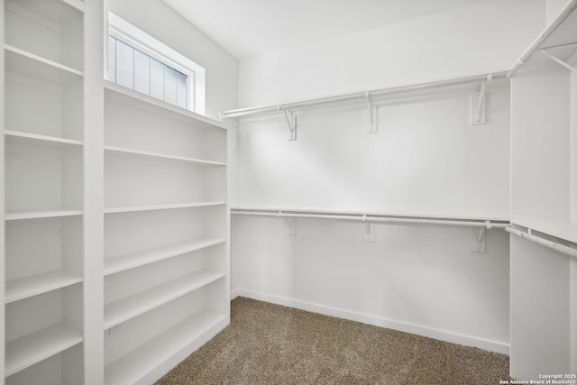 1939 W French Pl, San Antonio, TX 78201 - walk in closet featuring carpet floors