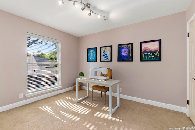19502 Encino Bow, San Antonio, TX 78259 - home office featuring carpet and track lighting