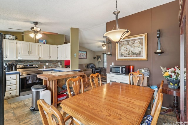 1111 Valeria, Marion, TX 78124 - dining area featuring ceiling fan, vaulted ceiling, and a textured ceiling