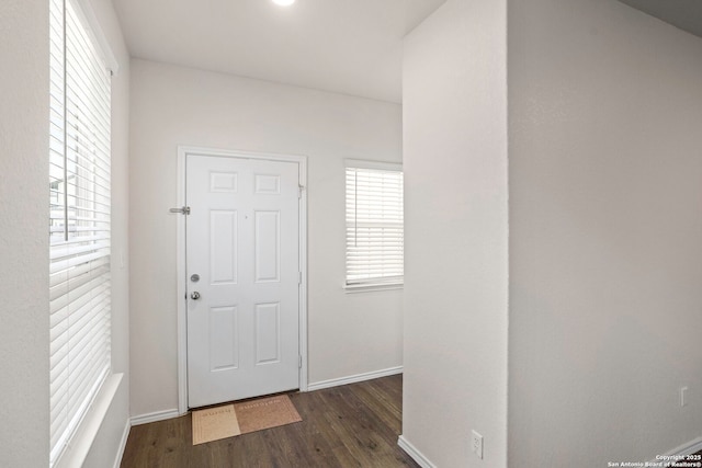759 Crested Iris, New Braunfels, TX 78130 - foyer with wood finished floors