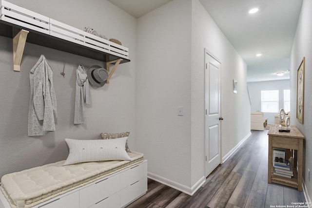 5323 Flying Hooves, San Antonio, TX 78222 - mudroom featuring dark wood-style floors and recessed lighting