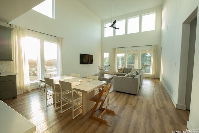 137 Mescalero, Boerne, TX 78006 - dining area with a towering ceiling and light wood-style floors