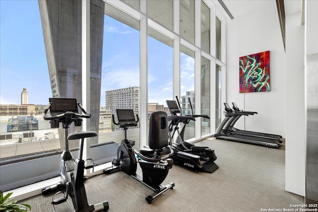 313 17th Unit, Austin, TX 78701 - gym with a view of city, a high ceiling, floor to ceiling windows, and carpet flooring