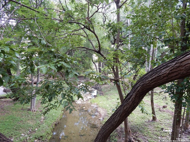 4119 Medical Unit 304F, San Antonio, TX 78229 - view of local wilderness