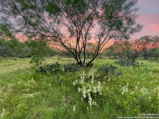 730 County Road 2530, Moore, TX 78057