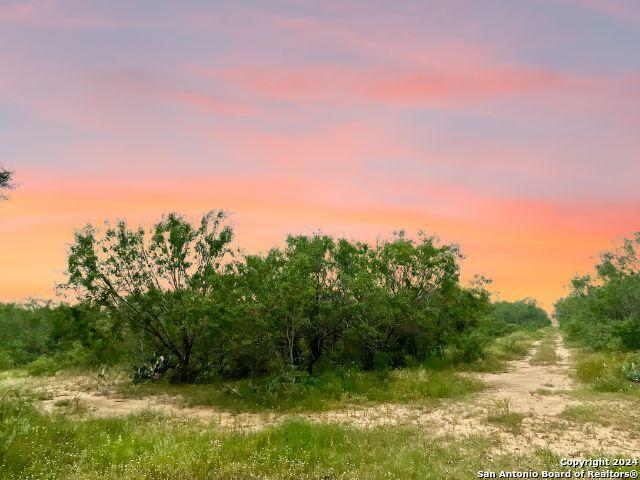 730 County Road 2530, Moore, TX 78057