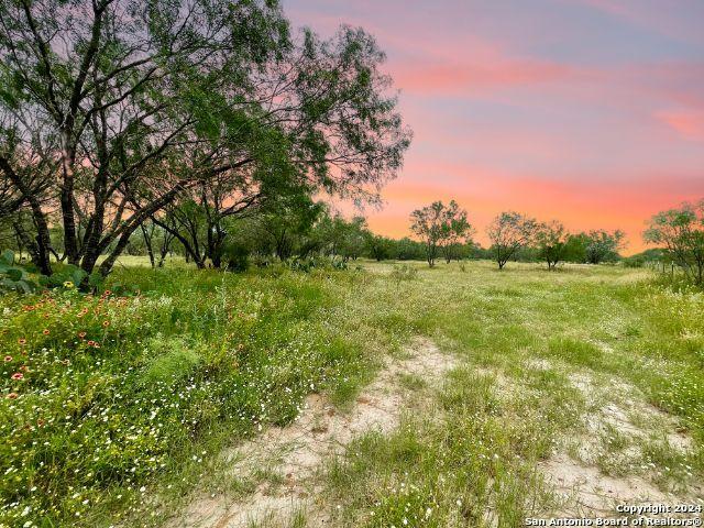 730 County Road 2530, Moore, TX 78057