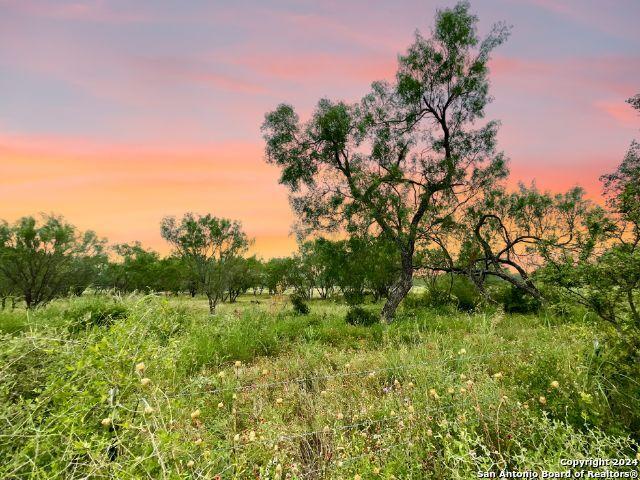 730 County Road 2530, Moore, TX 78057