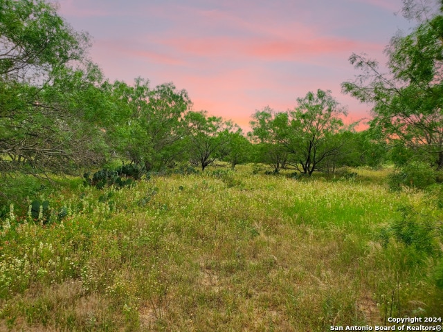 730 County Road 2530, Moore, TX 78057