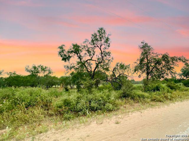730 County Road 2530, Moore, TX 78057