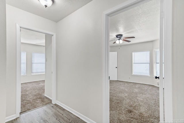 3410 Lone Valley St, San Antonio, TX 78247 - hallway with a textured ceiling, wood finished floors, and carpet floors