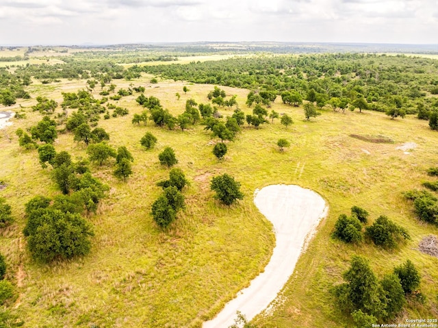 596 Ruger, Fredericksburg, TX 78624