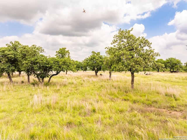 596 Ruger, Fredericksburg, TX 78624