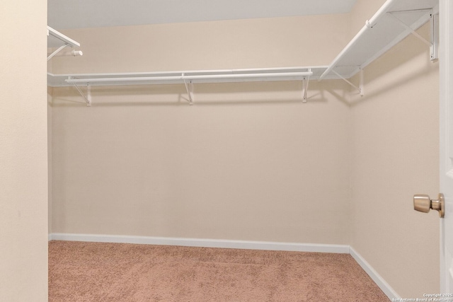 426 E Lindbergh, Universal City, TX 78148 - spacious closet with carpet