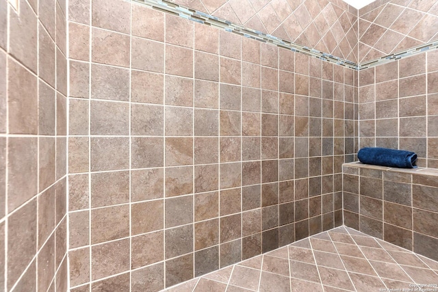 27306 Dana Crk, Boerne, TX 78015 - bathroom with a tile shower