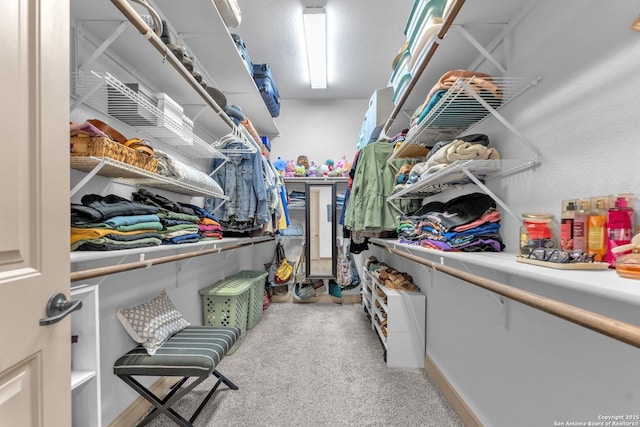27306 Dana Crk, Boerne, TX 78015 - spacious closet featuring light colored carpet