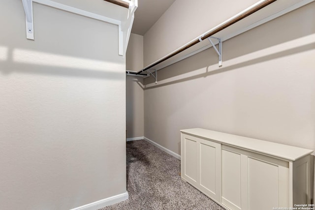 13609 Mineral Wl, San Antonio, TX 78253 - spacious closet with carpet