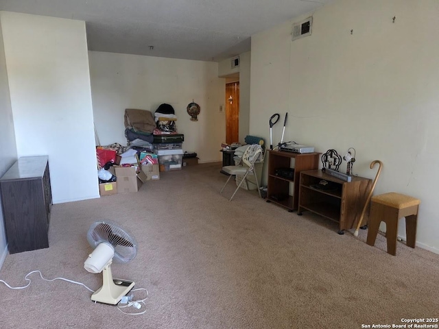 115 Dumont, San Antonio, TX 78227 - view of carpeted living room