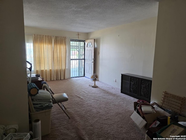 115 Dumont, San Antonio, TX 78227 - living area with carpet floors and a textured ceiling