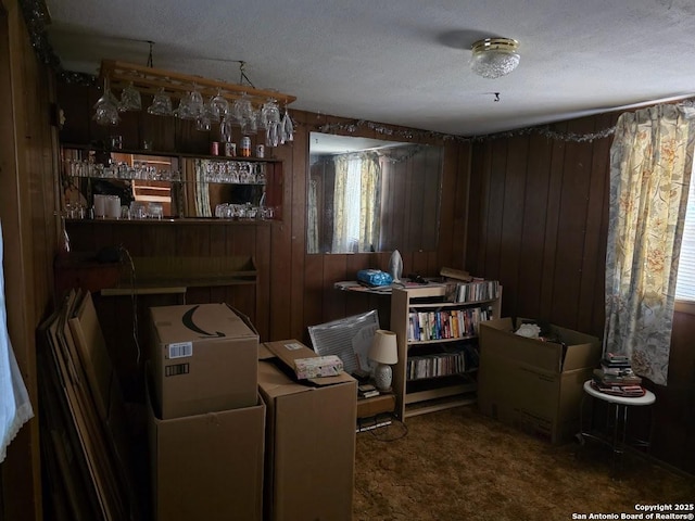 115 Dumont, San Antonio, TX 78227 - carpeted home office with wooden walls, healthy amount of natural light, and a textured ceiling