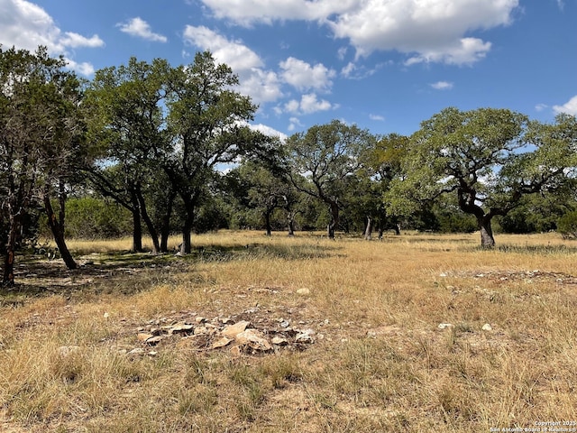 1 Vaquero Pass, Boerne, TX 78006 - view of nature