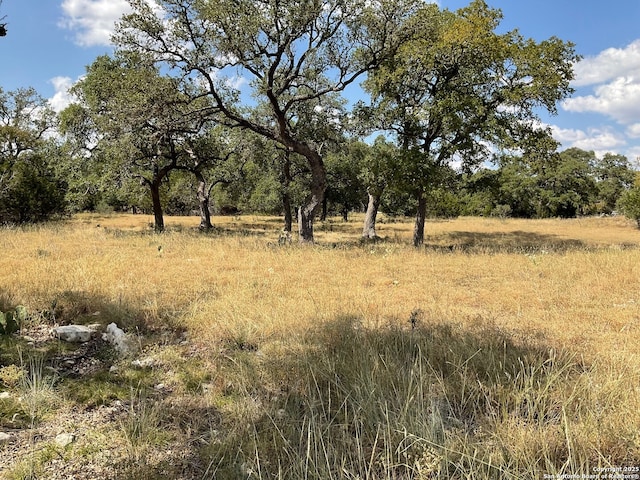 1 Vaquero Pass, Boerne, TX 78006 - view of undeveloped land