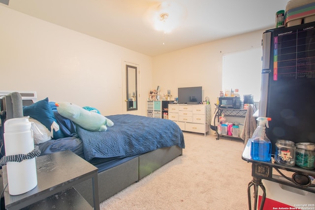 9075-1 W Foxgrove Way, San Antonio, TX 78251 - view of carpeted bedroom