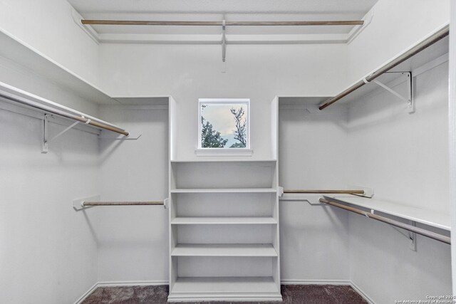 2434 Trace Oak, San Antonio, TX 78232 - walk in closet with carpet floors