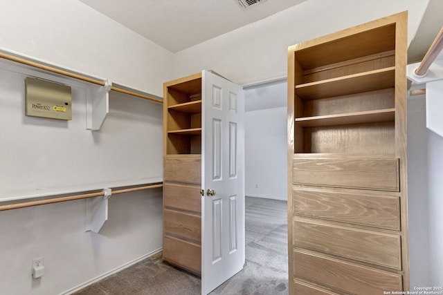2434 Trace Oak, San Antonio, TX 78232 - walk in closet with carpet floors