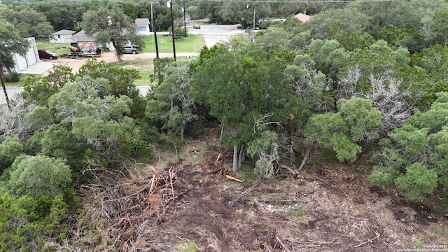 1219 Tanglewood, Spring Branch, TX 78070