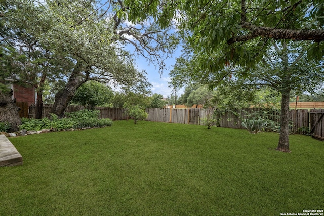22815 Cardigan Chase, San Antonio, TX 78260 - view of fenced backyard