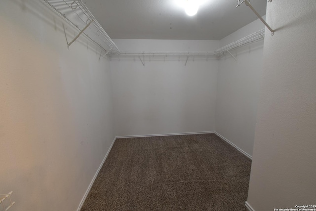 1510 June Berry, San Antonio, TX 78260 - spacious closet featuring carpet