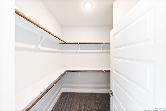 419 Ira Ave Unit 1101, San Antonio, TX 78209 - spacious closet with dark carpet