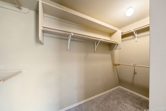 312 Bunker Hl, Pleasanton, TX 78064 - walk in closet with carpet