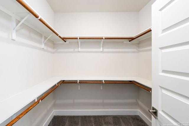 419 Ira Ave Unit 1102, San Antonio, TX 78209 - walk in closet featuring dark colored carpet