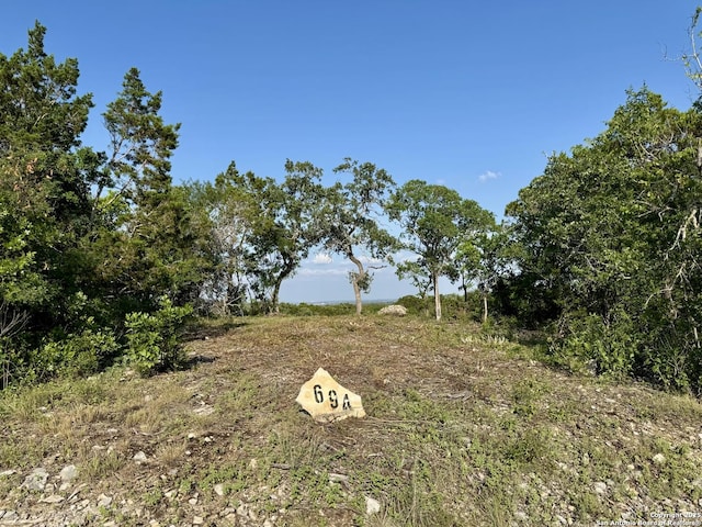 694 County Road 2801 E, Mico, TX 78056