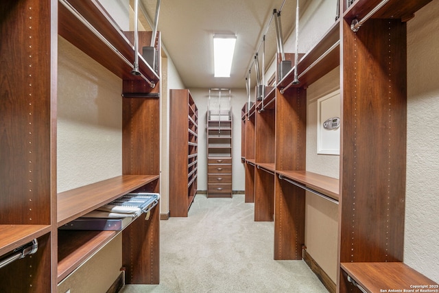 1437 Decanter, New Braunfels, TX 78132 - spacious closet with light colored carpet