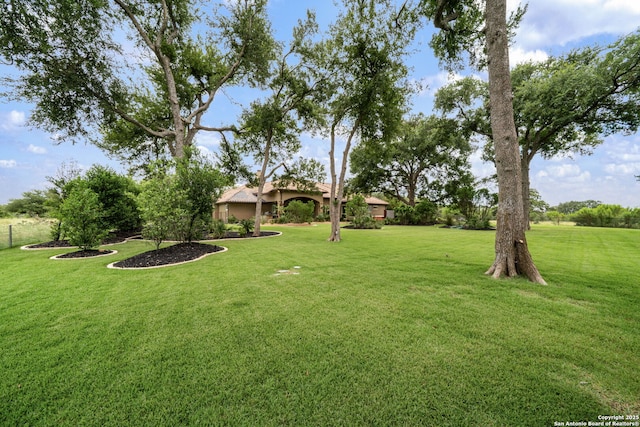 1437 Decanter, New Braunfels, TX 78132 - view of green lawn