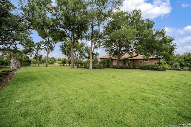 1437 Decanter, New Braunfels, TX 78132 - view of green lawn