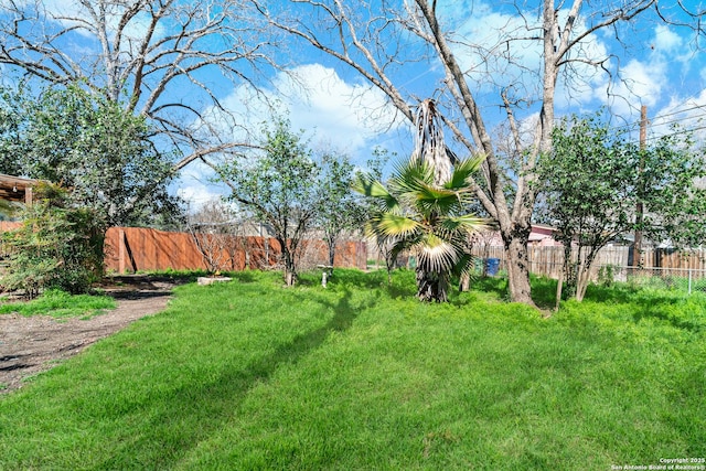 231 Craigmont, San Antonio, TX 78213 - view of yard