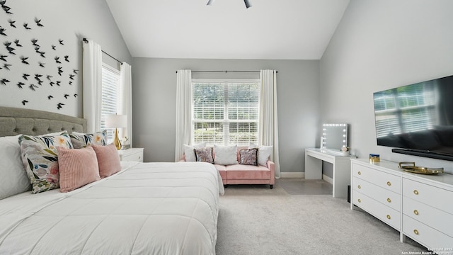 212 Wentworth, Spring Branch, TX 78070 - bedroom featuring lofted ceiling and light colored carpet