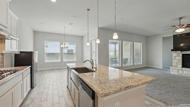 1606 Folk Victorian, New Braunfels, TX 78132 - kitchen with appliances with stainless steel finishes, plenty of natural light, light wood-type flooring, and a fireplace
