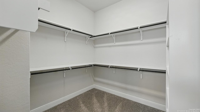 1606 Folk Victorian, New Braunfels, TX 78132 - spacious closet featuring dark carpet